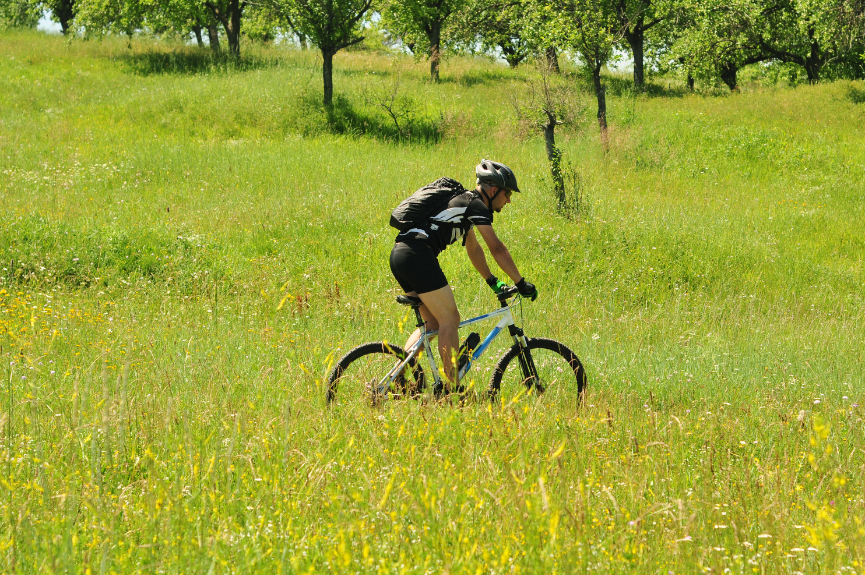 bicyclexpert-mission