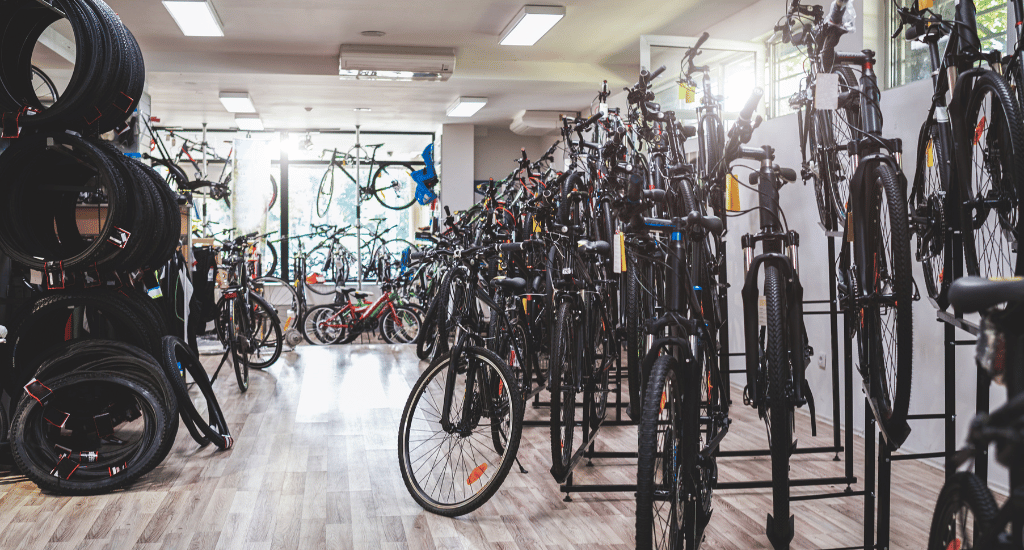 Best Bike for Different Riders