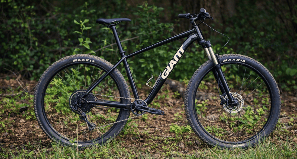 Converting a Mountain Bike in Budget