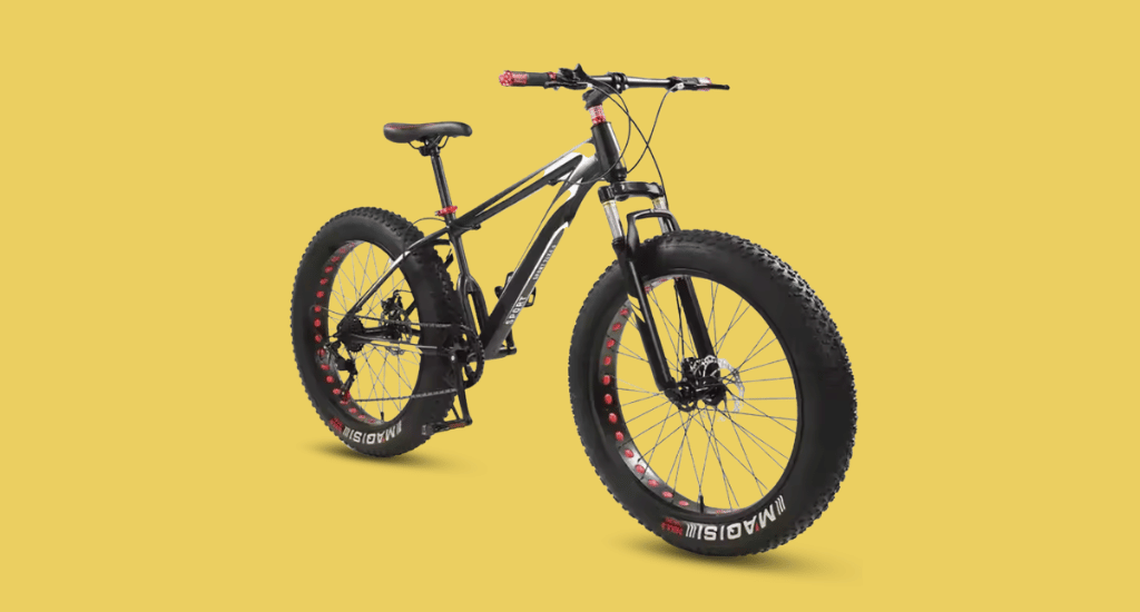 Fat Bike Tire & Wheel