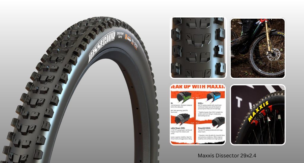 Maxxis Dissector 29x2.4 mountain bike tire showcasing its aggressive tread pattern, sidewall logos, and infographics about its EXO and Downhill casing technology.
