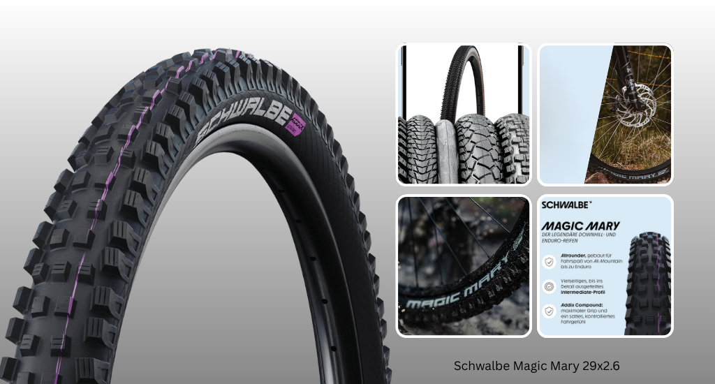 A Schwalbe Magic Mary 29x2.6 mountain bike tire with aggressive tread. Insets show the profile, mounting, and German text highlighting its downhill/enduro specs.
