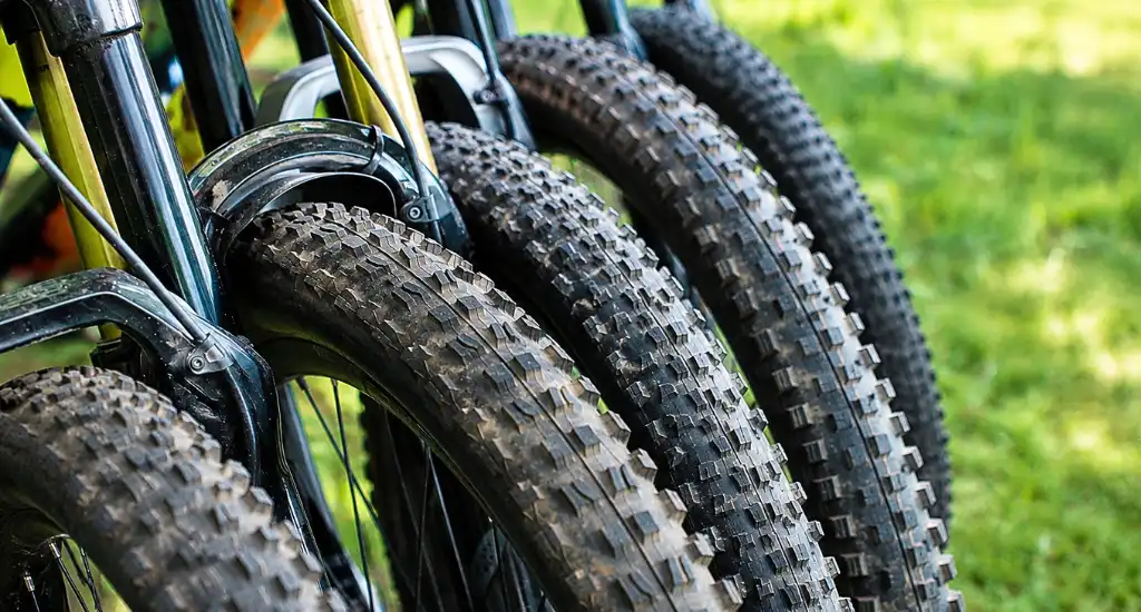 A lineup of mountain bike front wheels fitted into forks showing various knobby tire tread widths.